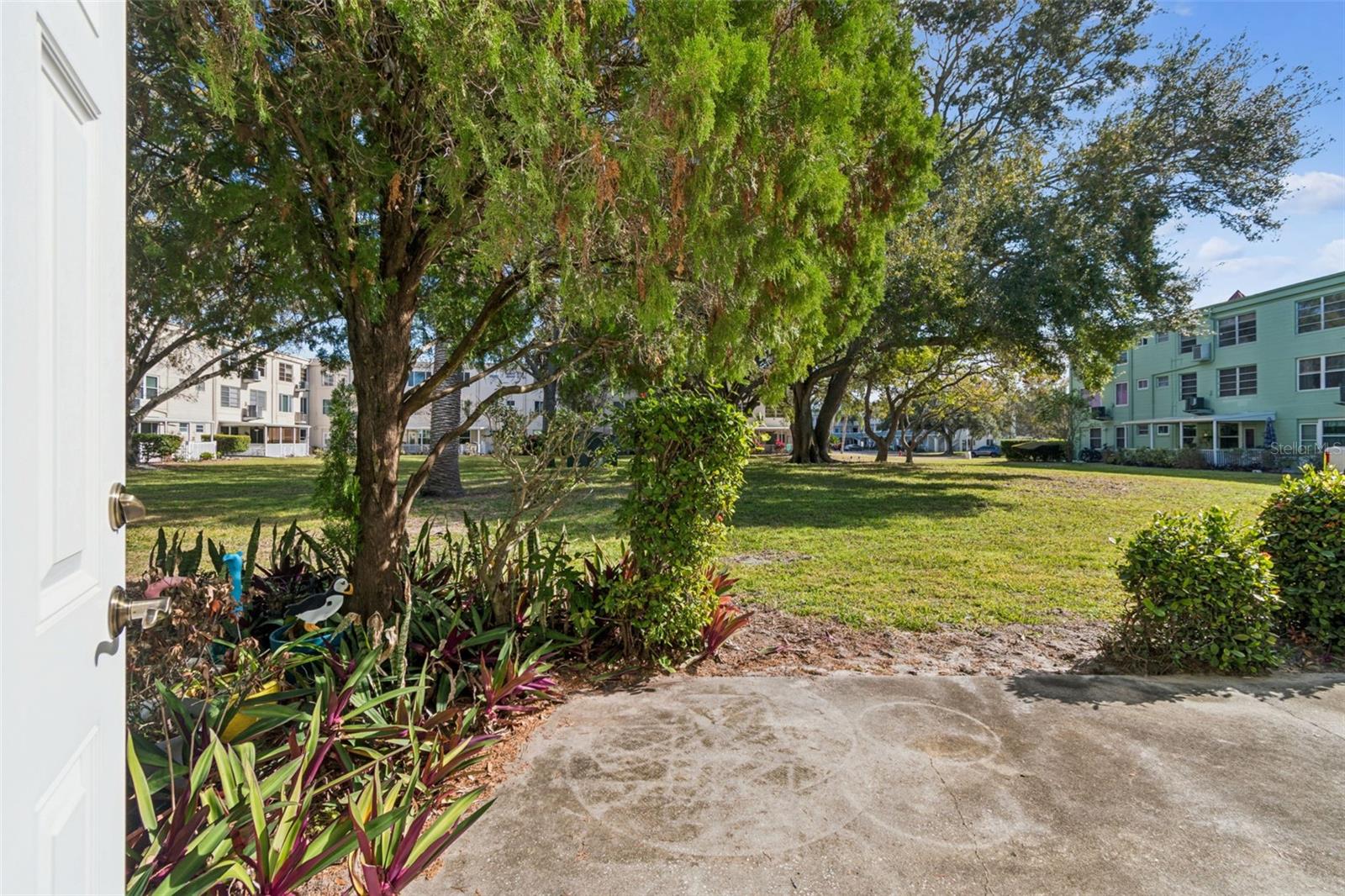 View from back patio