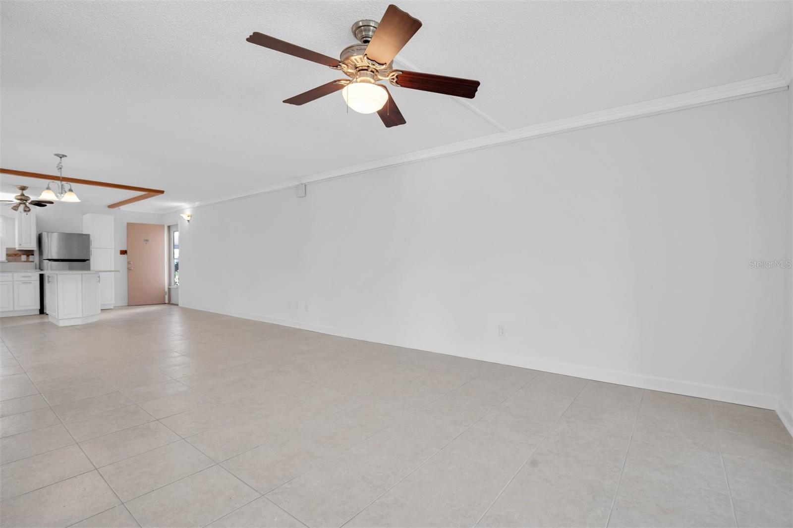 CEILING FAN WITH LIGHT IN LIVING ROOM