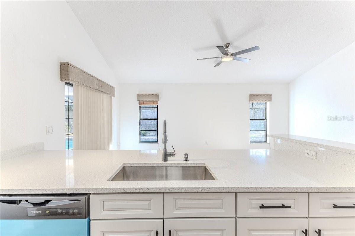 Under-mounted Large Sink