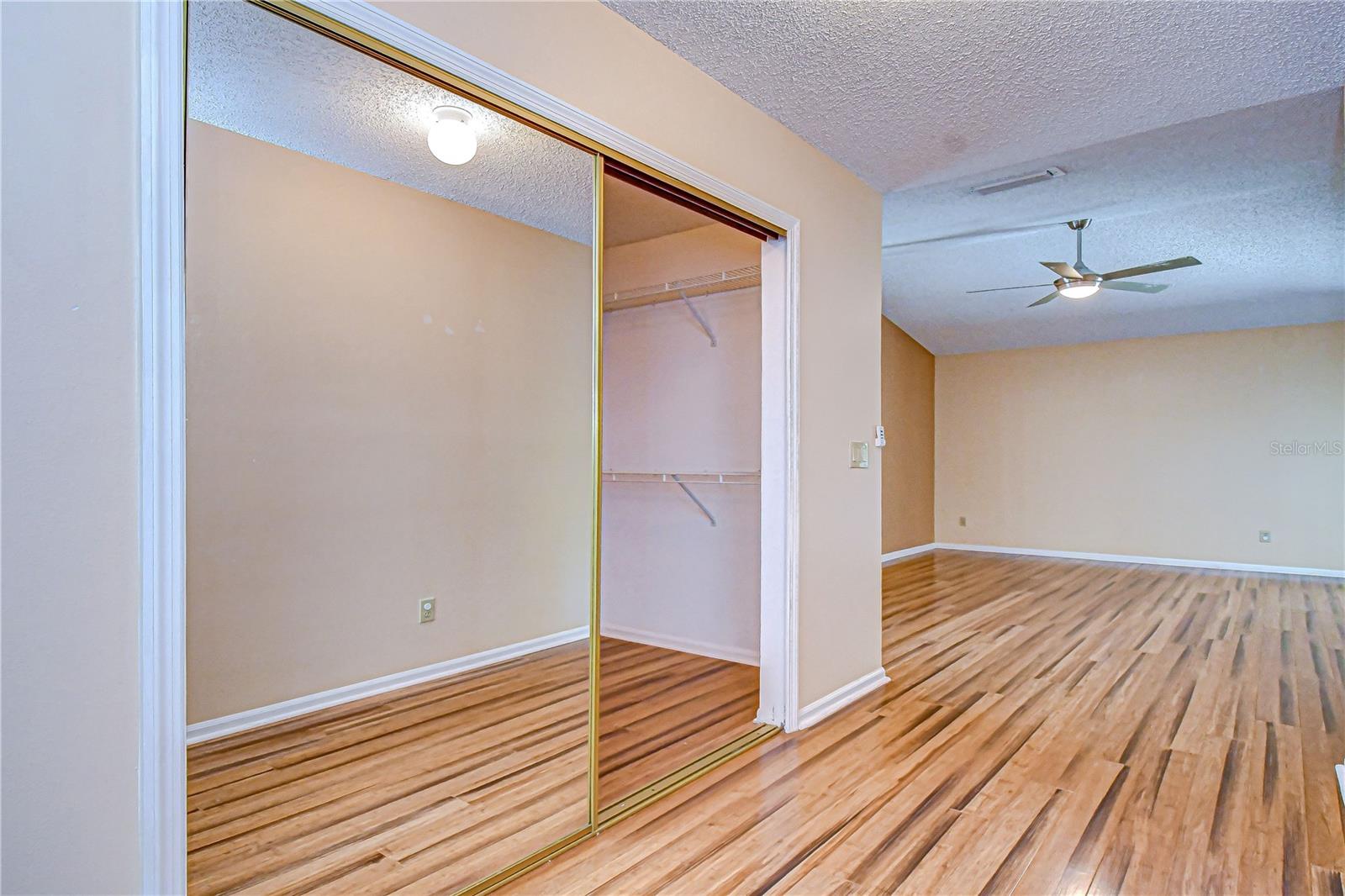 Mirrored walk-in closets!