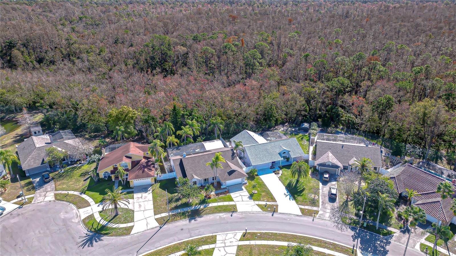 You'll love backing to conservation!