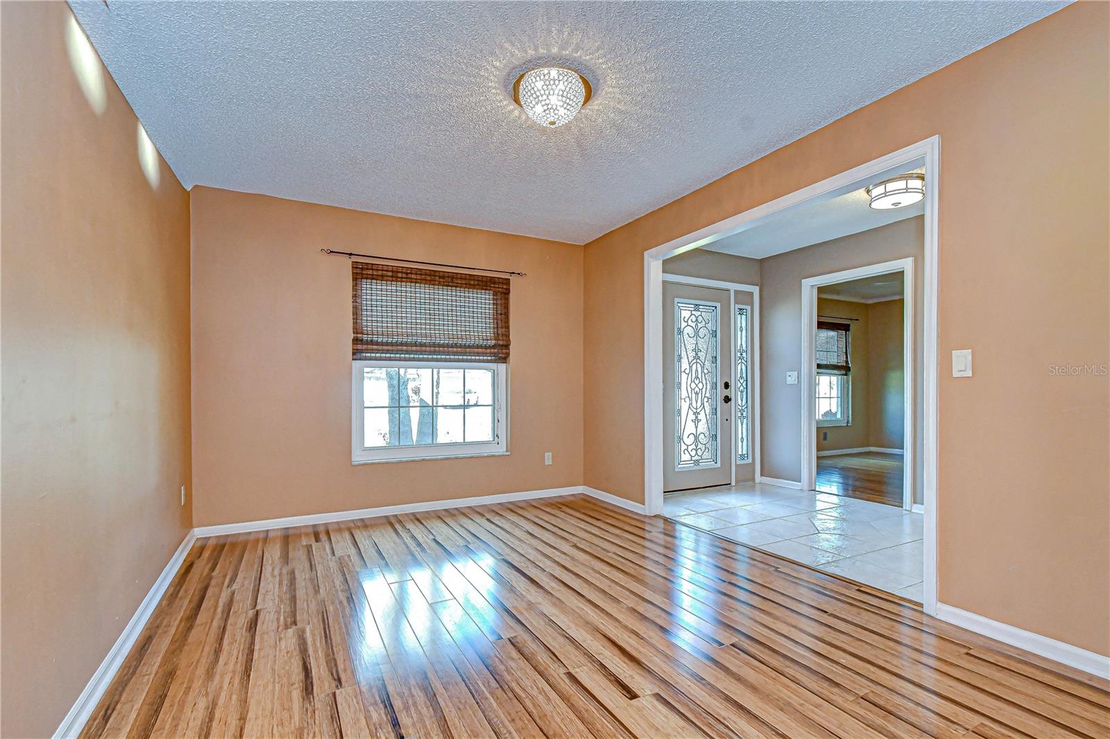 Bamboo floors in dining room!
