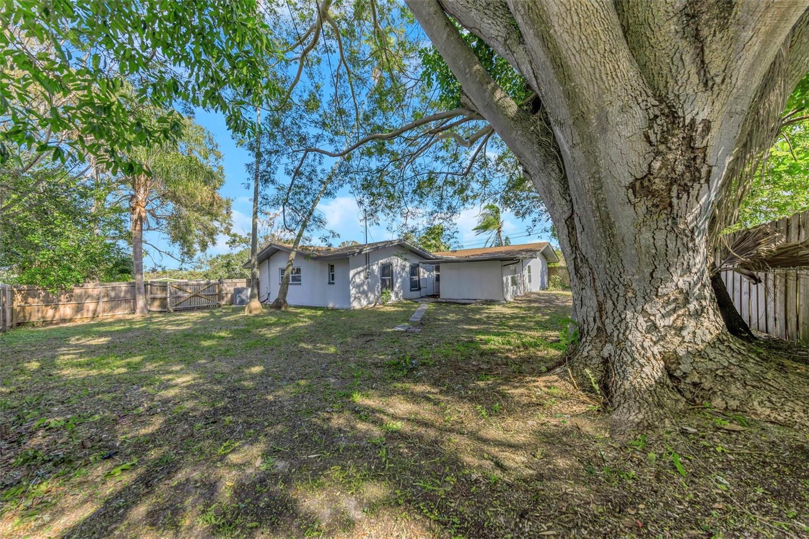 Rear Yard - Reverse View