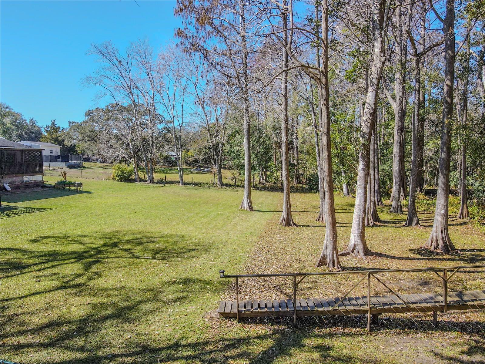 From the walkway, the property reveals its blend of open green space and mature woodland, creating a setting that feels both expansive and tucked into nature.