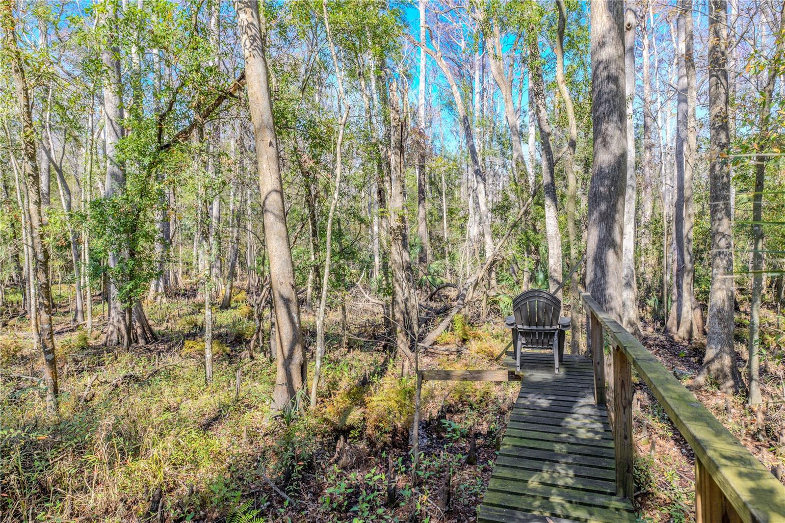 Secluded seating nook tucked along the boardwalk, ideal for enjoying the surrounding woods and natural views.