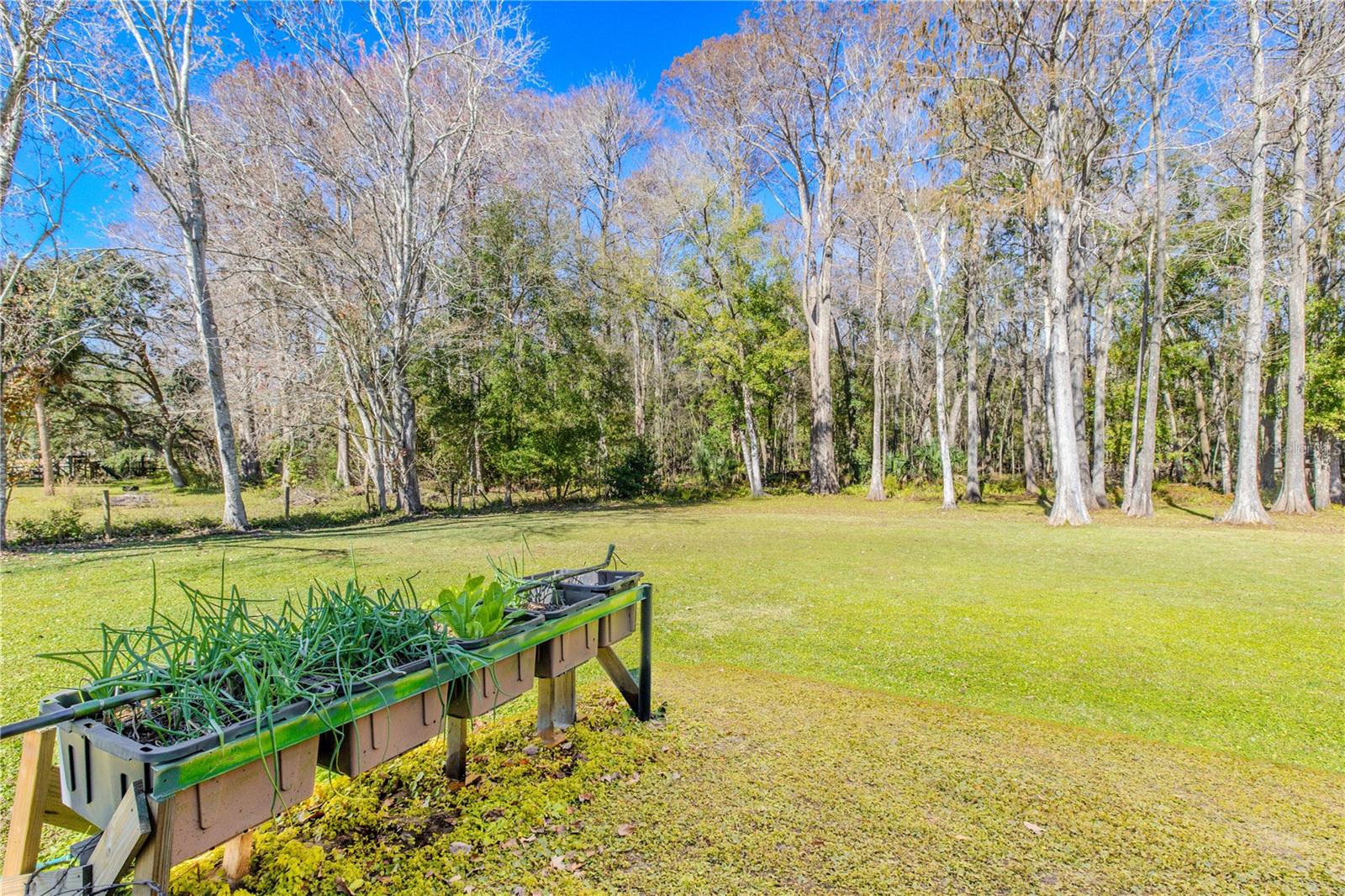 Raised garden beds sit at the edge of the lawn, positioned to enjoy sunlight while remaining surrounded by the calming presence of the wooded landscape.