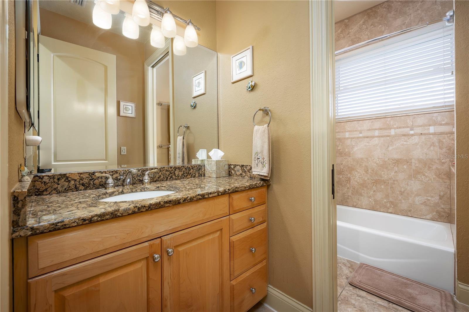 Guest Bath - 3rd floor