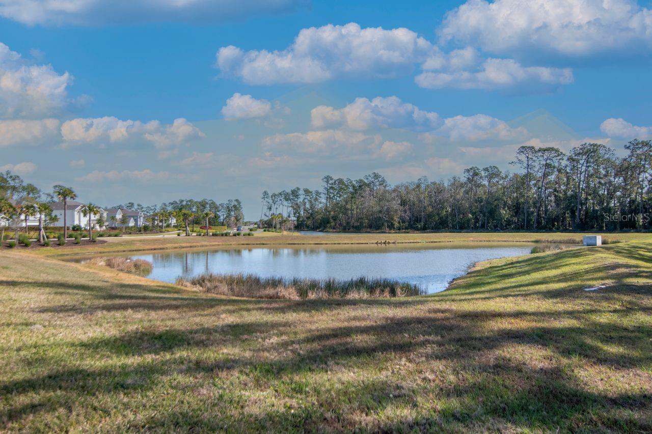Lots of greenspace with water views and privacy