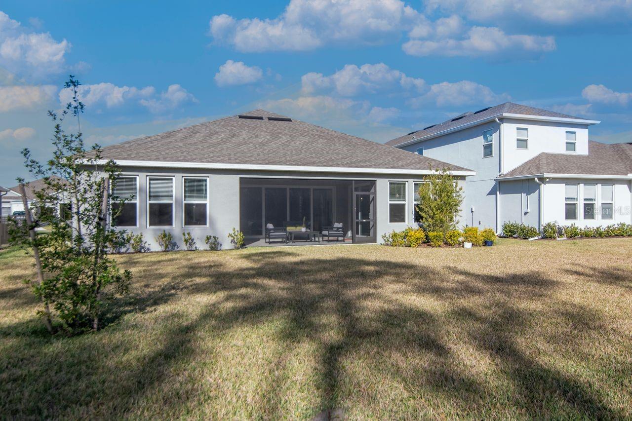 Large backyard with plenty of space for a future pool.
