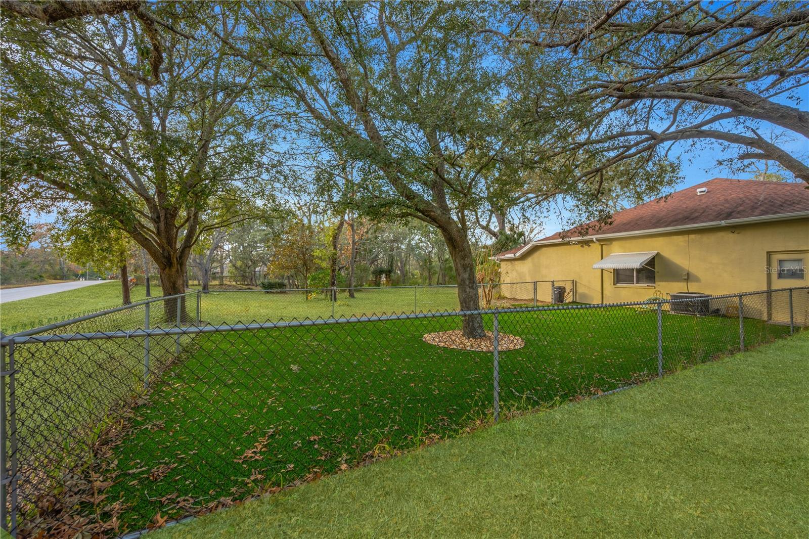 Artificial Turd/Dog Run