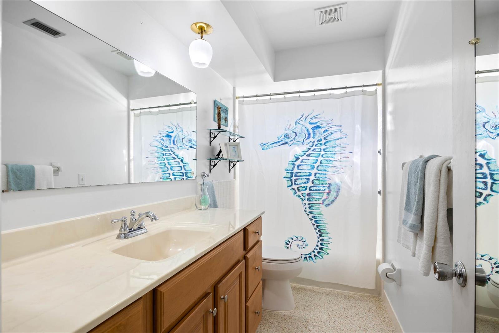 Guest Bathroom with Tub/Shower Combo and large vanity