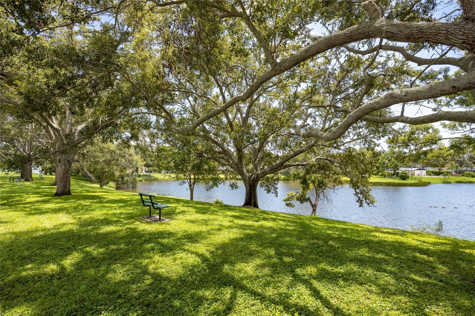 Beautiful Lake Saundra.   Many different species of birds enjoy the lake as do turtles and otters!