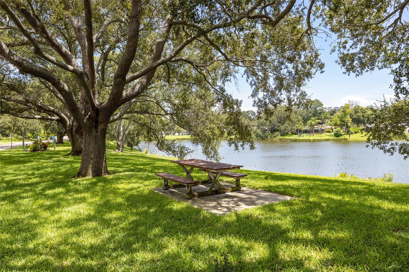 Enjoy your lunch on the shores of Lake Saundra!