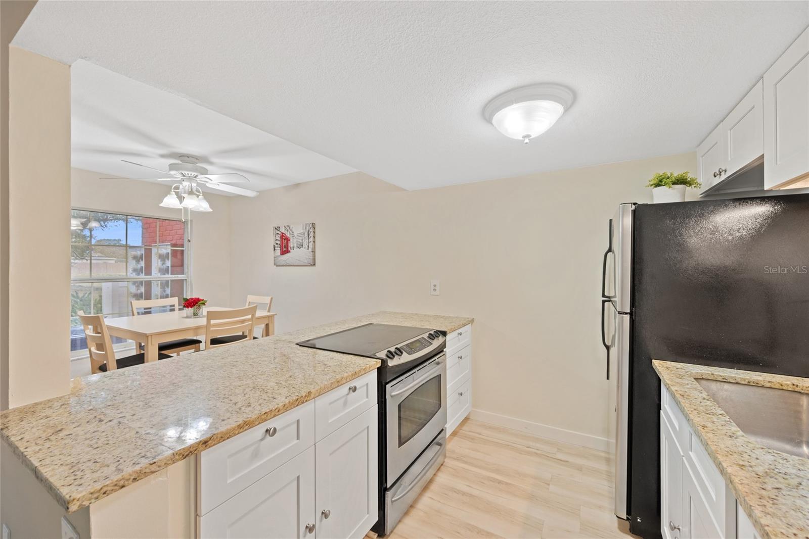 Stone Counters ~ Stainless Appliances