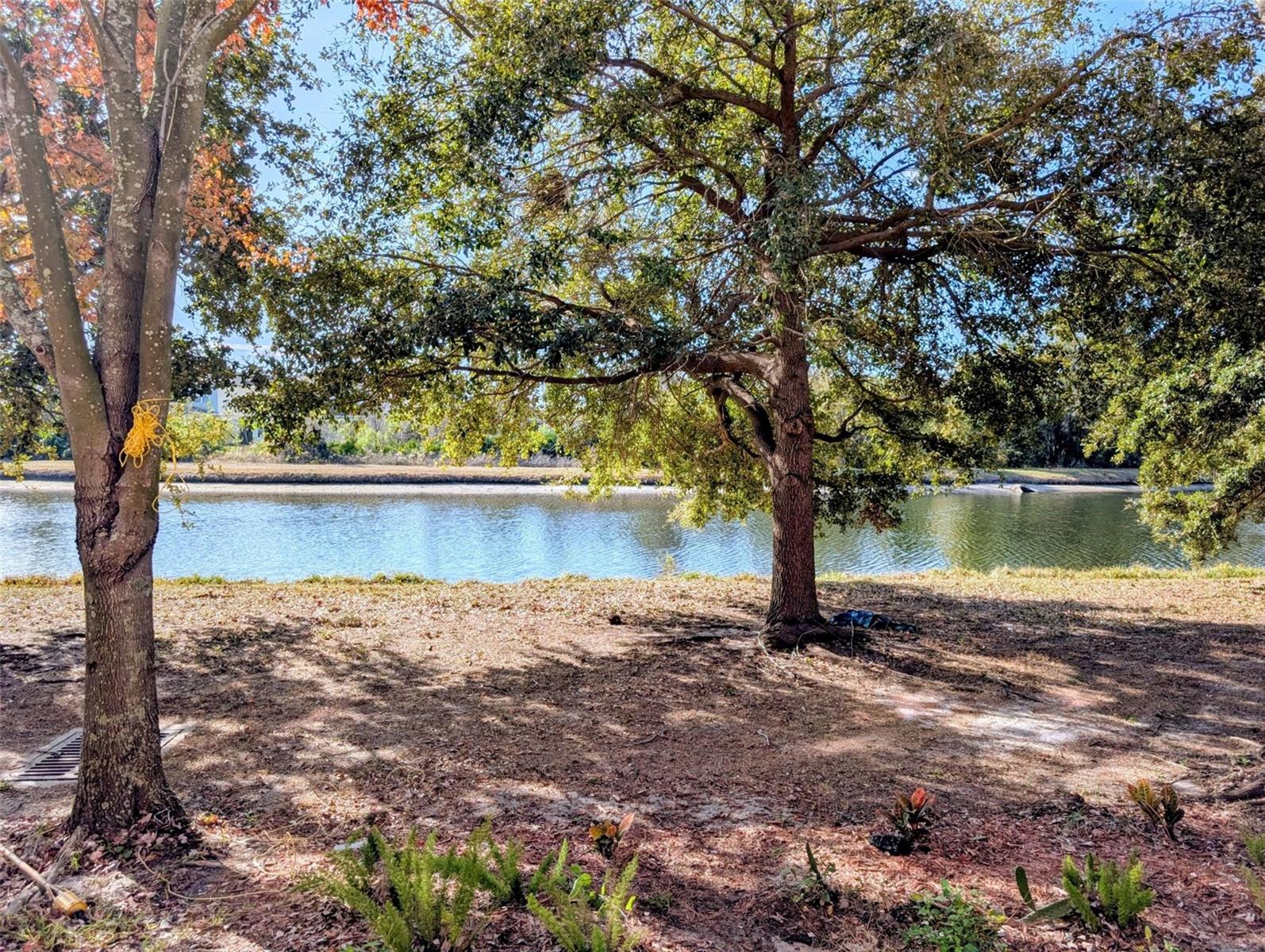 Waterfront waterfront!! So pretty