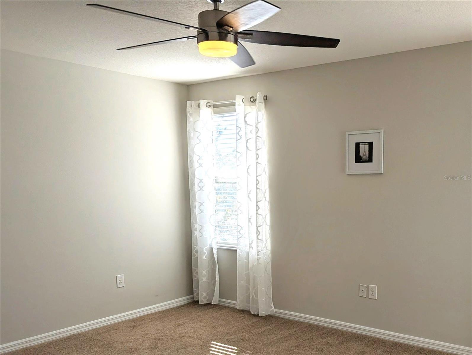 Neutral fresh paint and new carpet