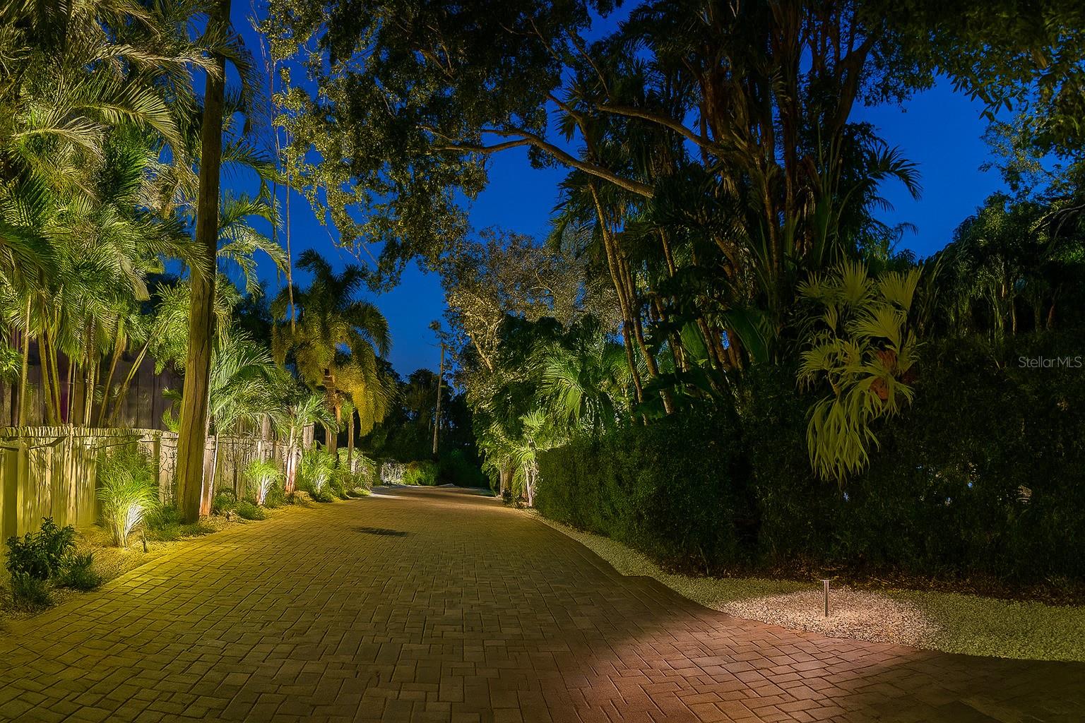 NIGHT DRIVEWAY