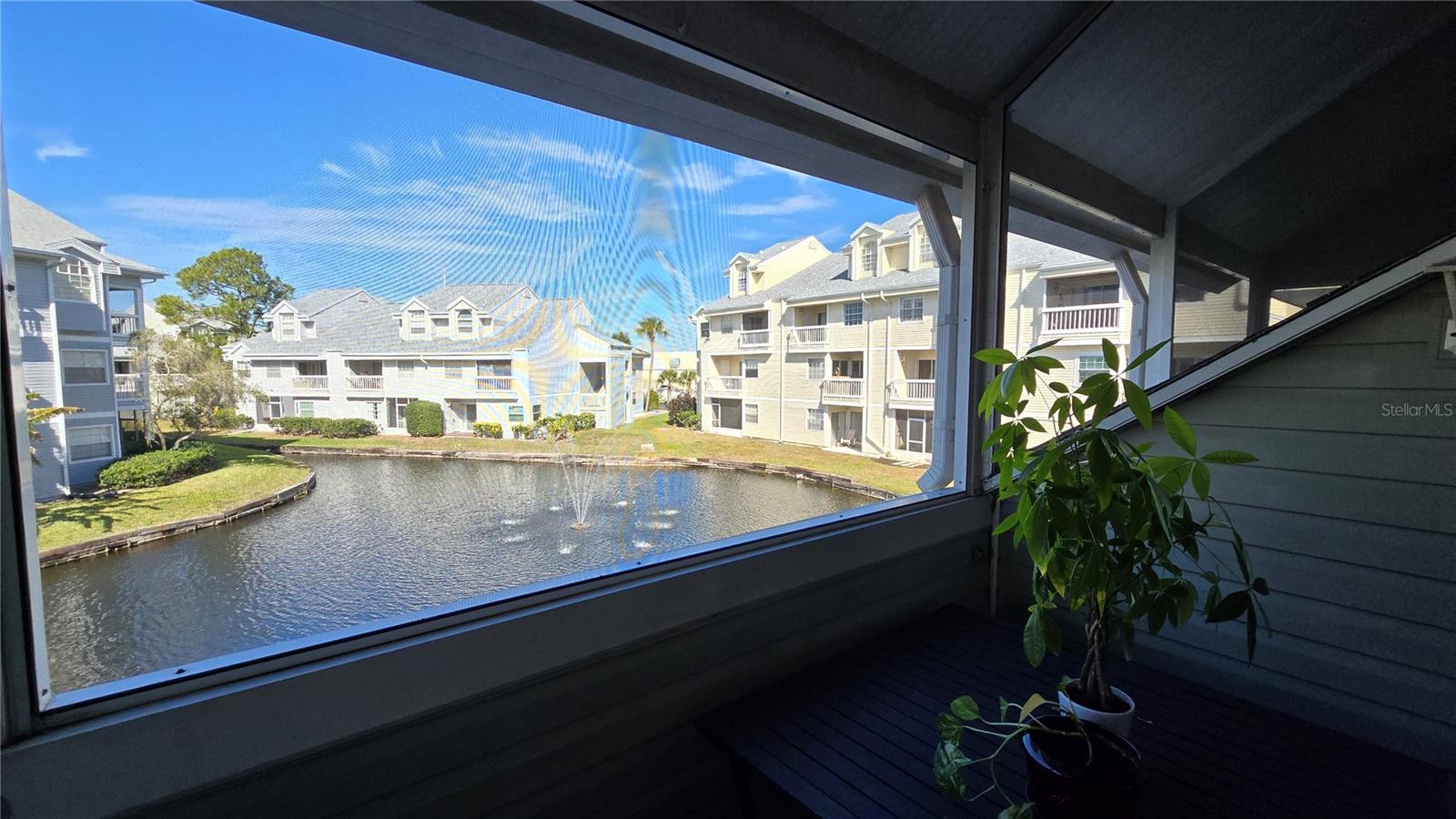 Pond from screen room