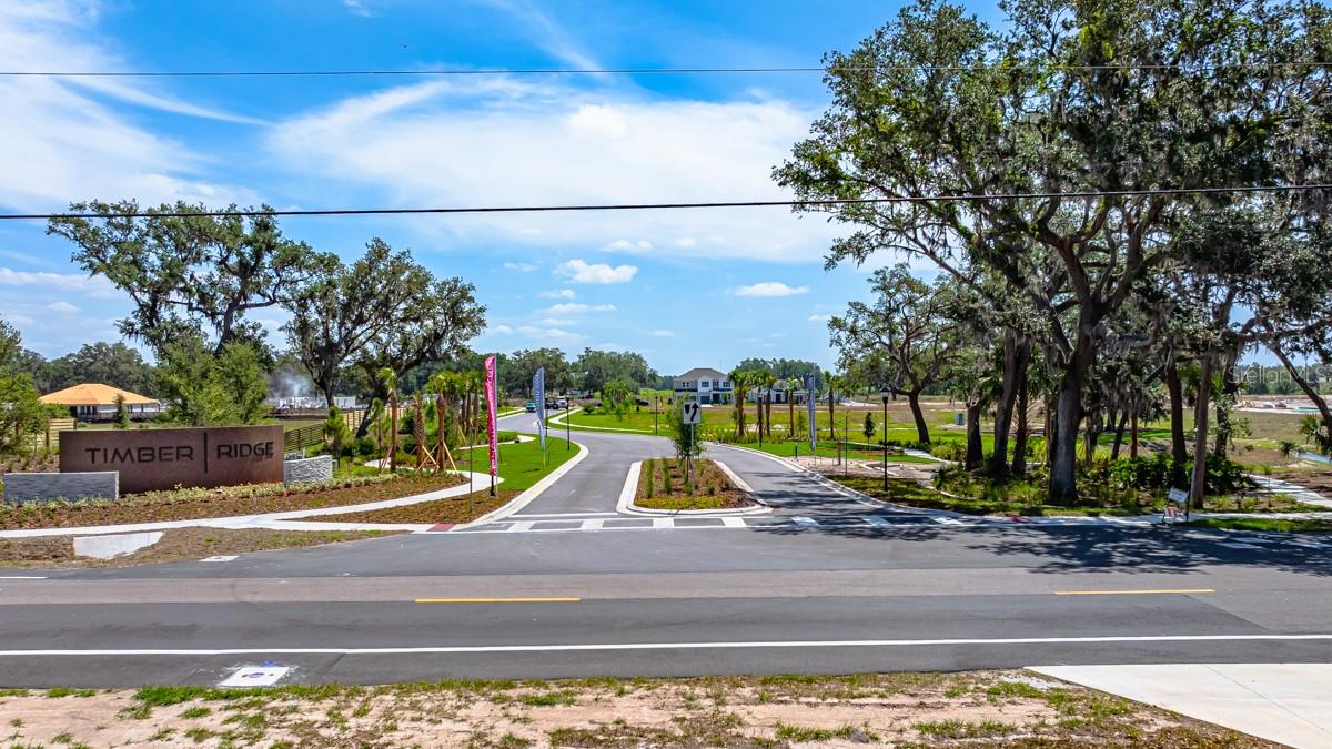 Timber Ridge Community