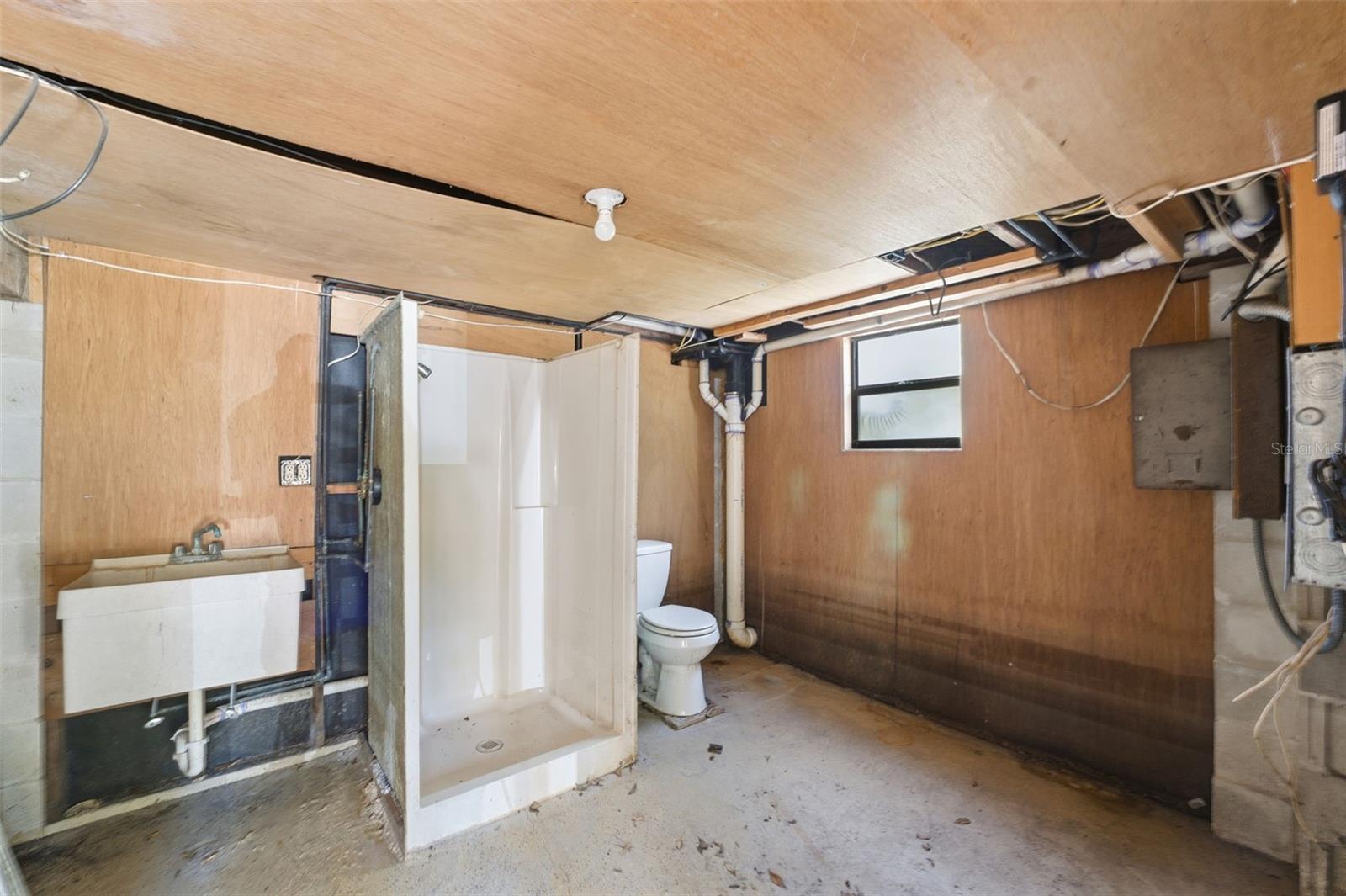 Downstairs bathroom with shower and storage