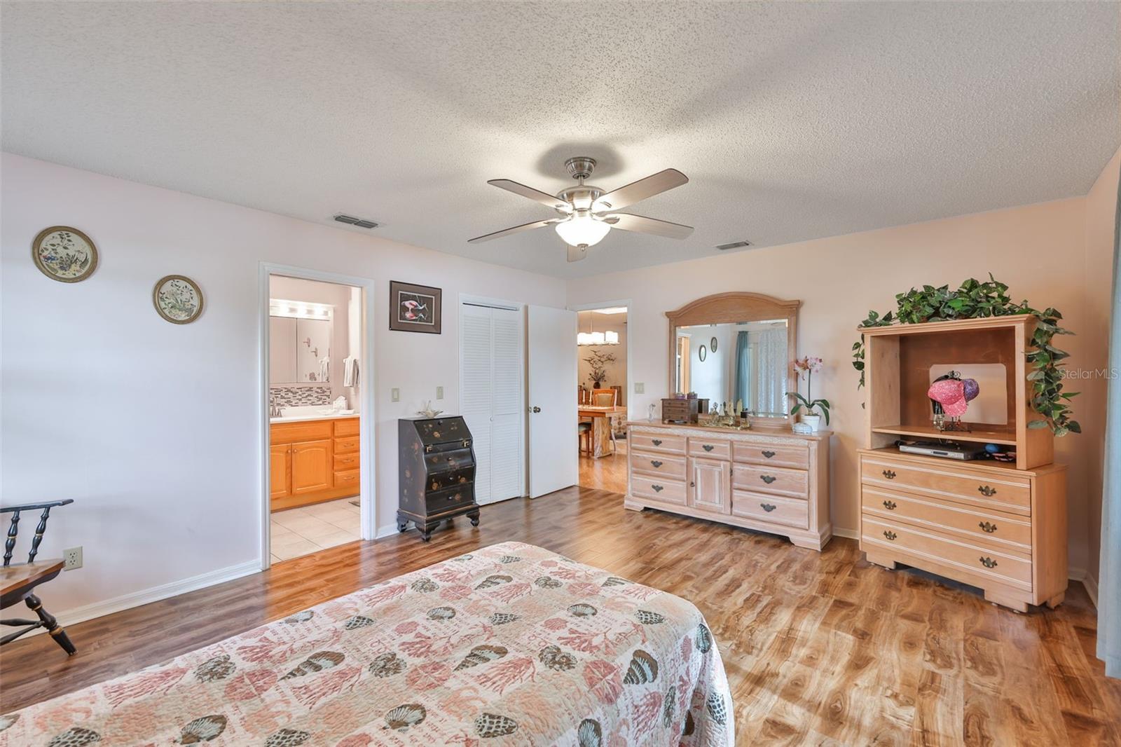 Large Primary Bedroom