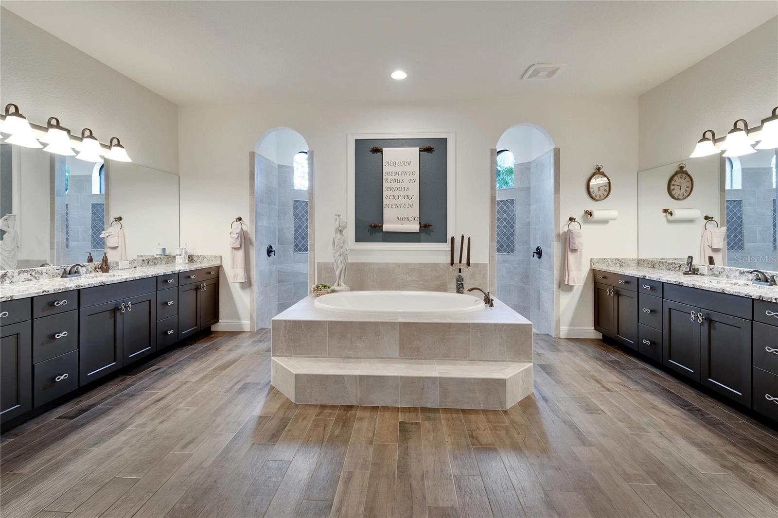 Dream Primary Bathroom