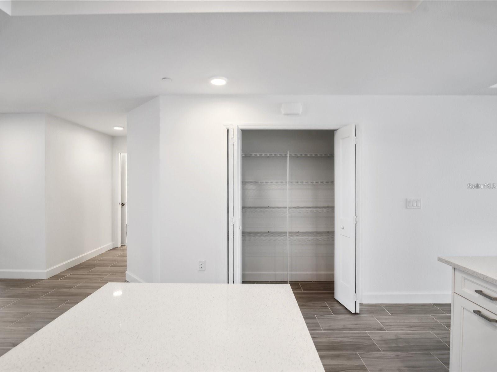 Large pantry in kitchen