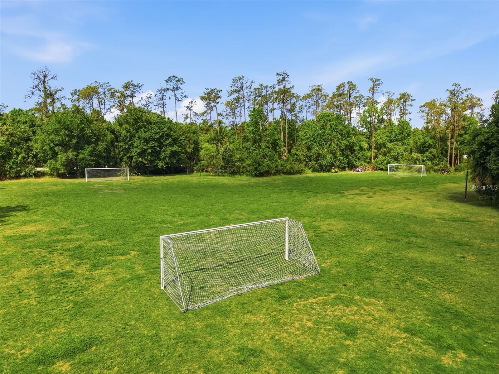 Soccer field