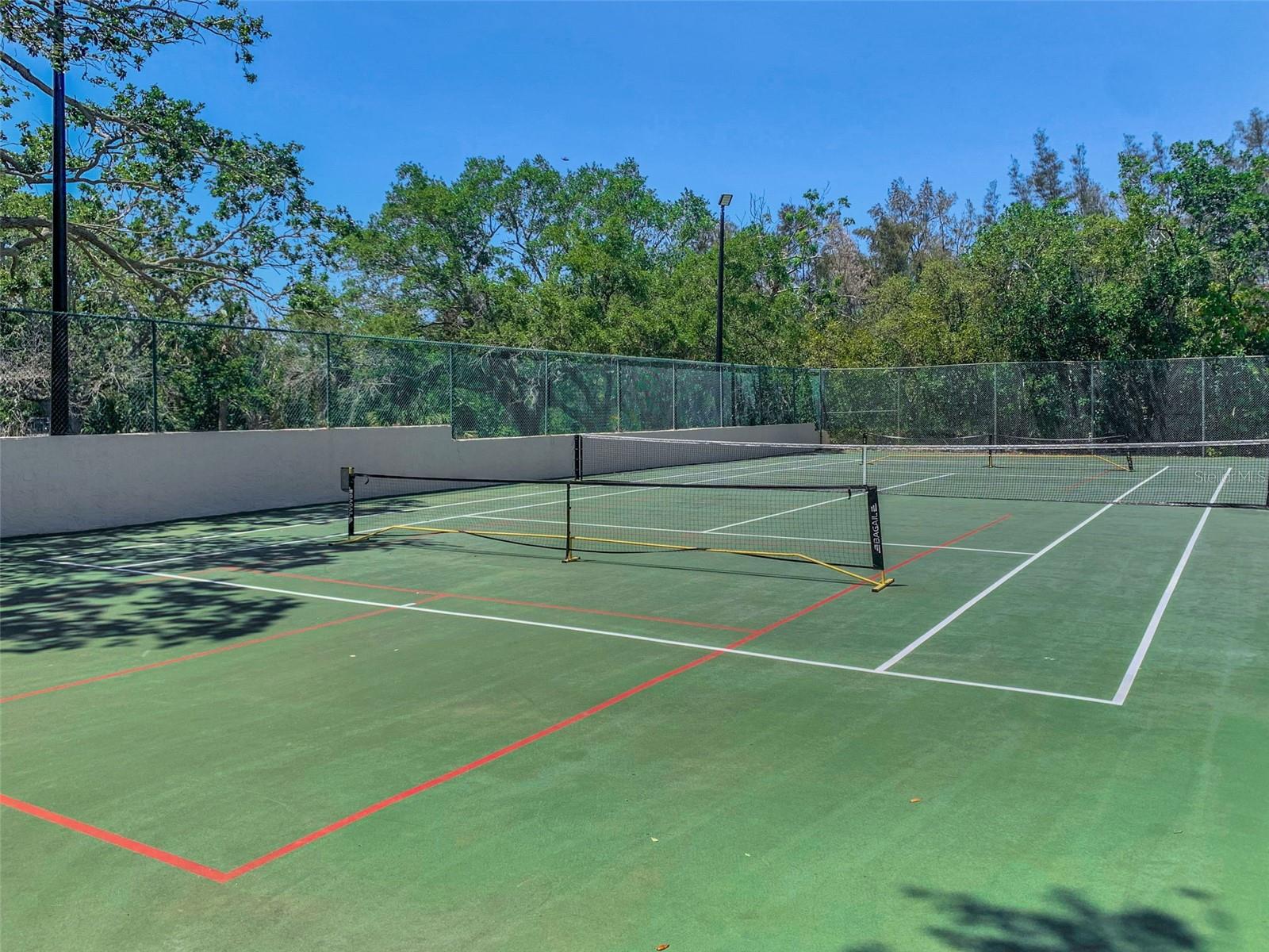 Tennis and pickleball courts