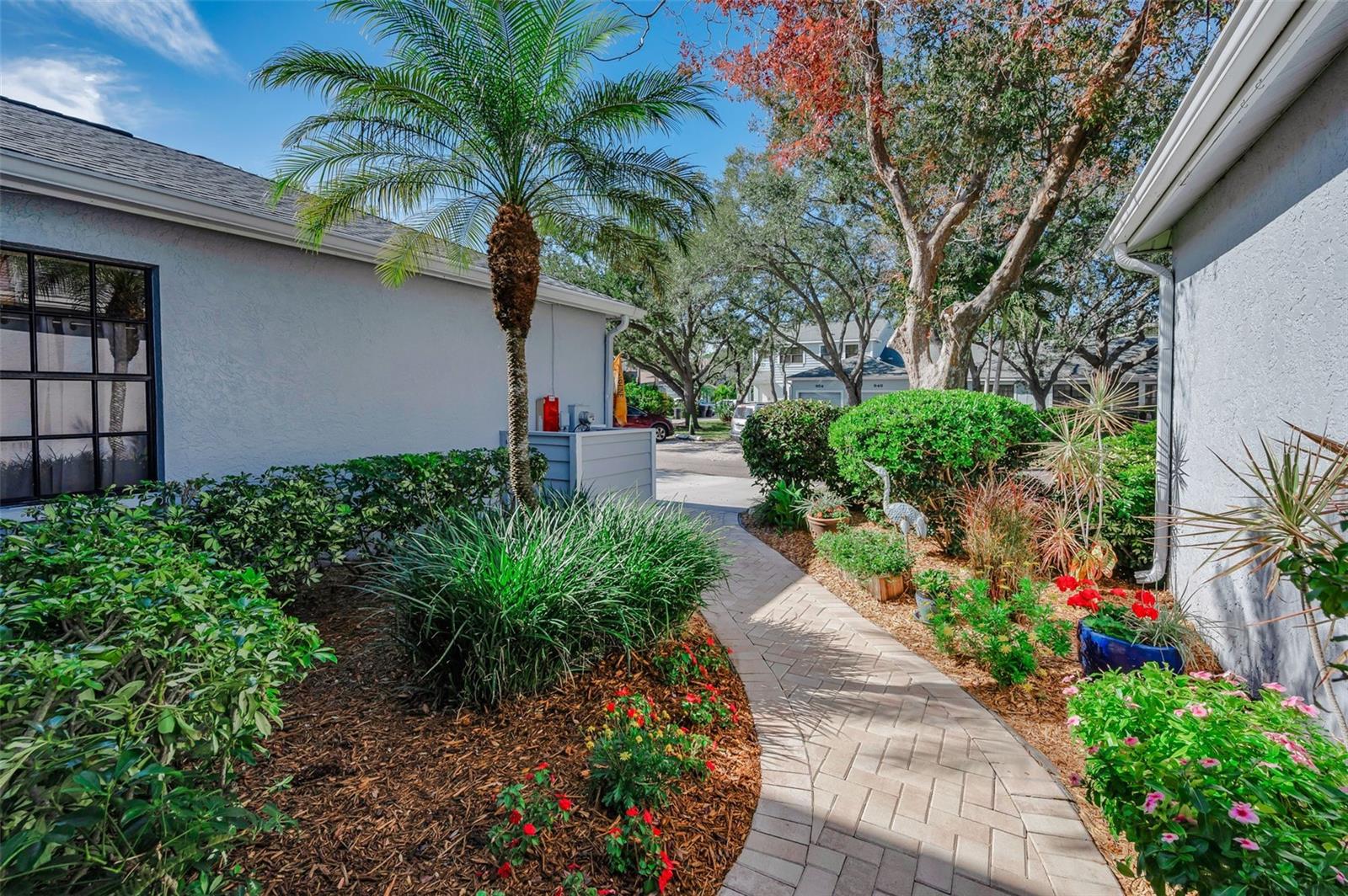 Walkway to front entryway