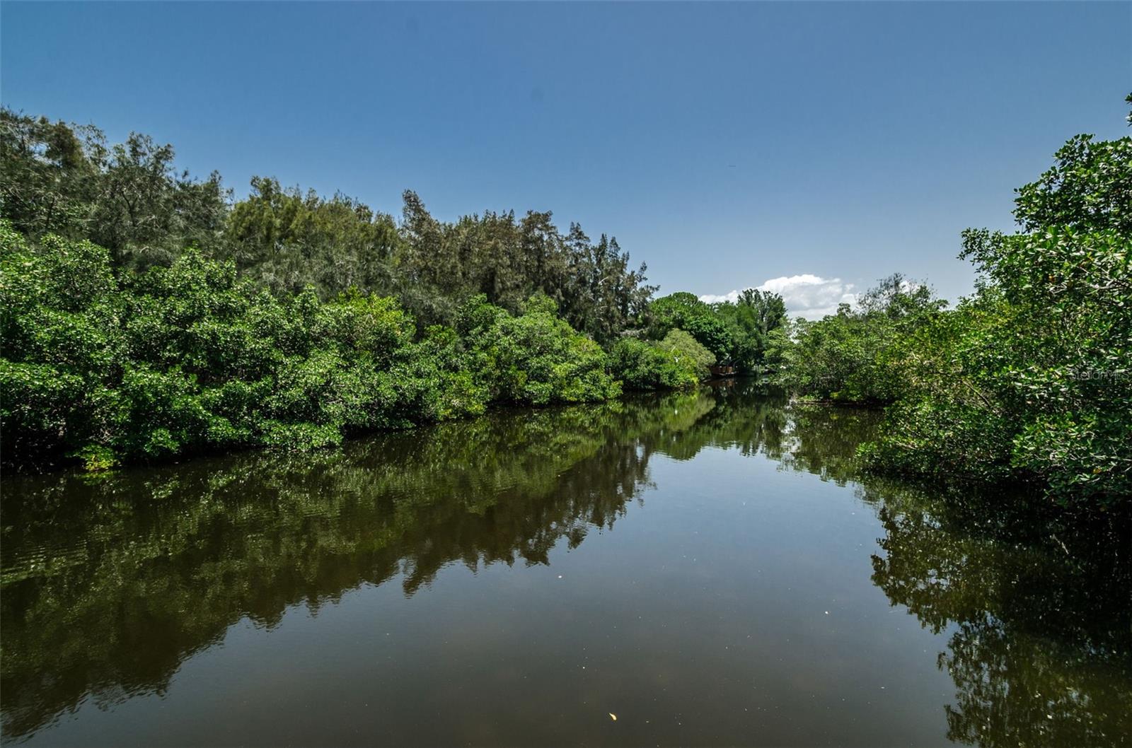 View from Caya Costa Dock