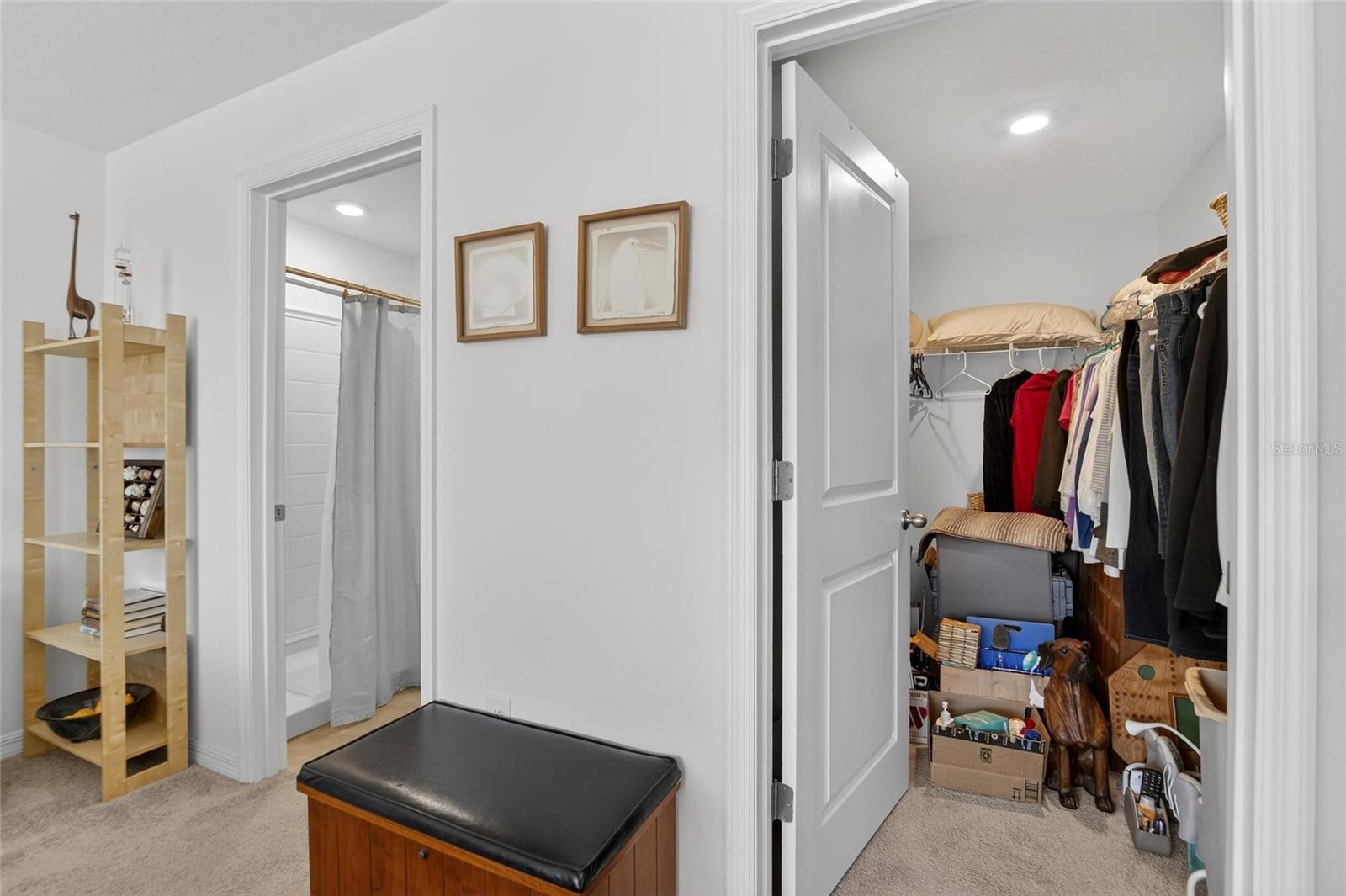 Primary Closet/Bathroom
