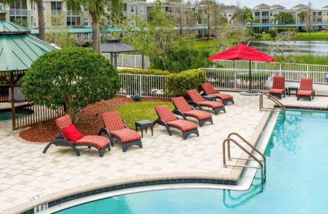 Resort style pool and spa