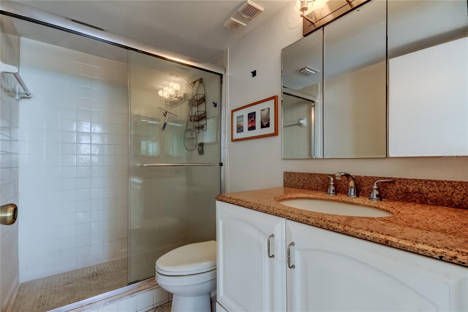 Primary ensuite with shower