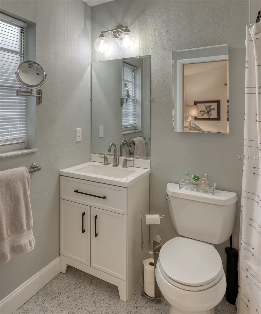 Updated Primary Ensuite Bath