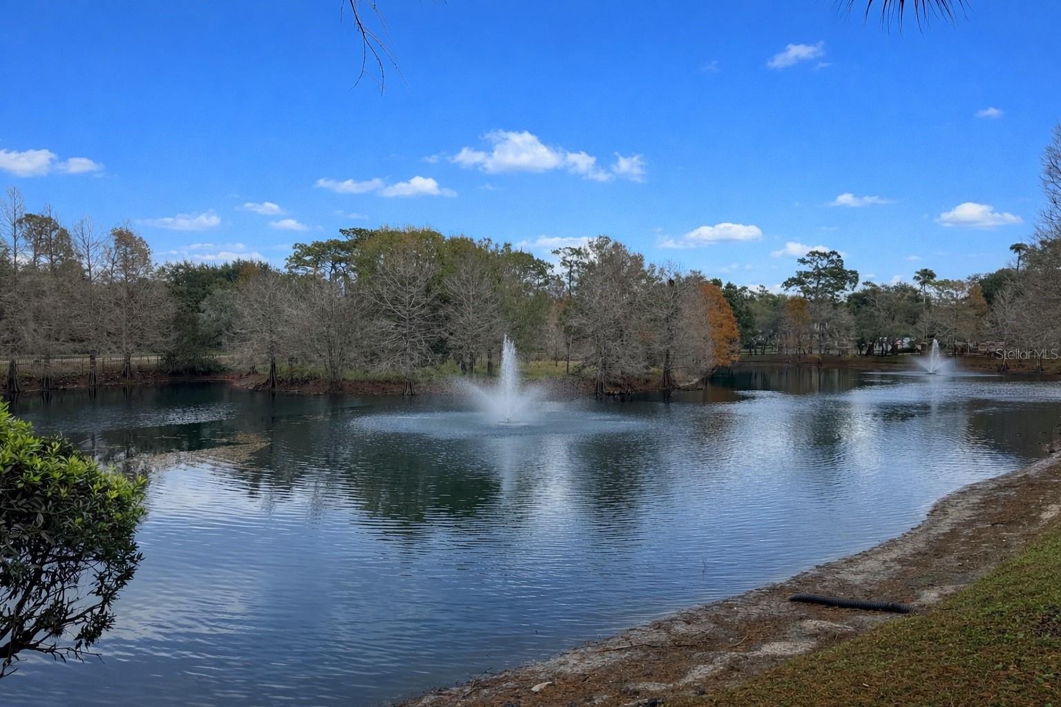 Pond with walking path, directly behind the condo unit.