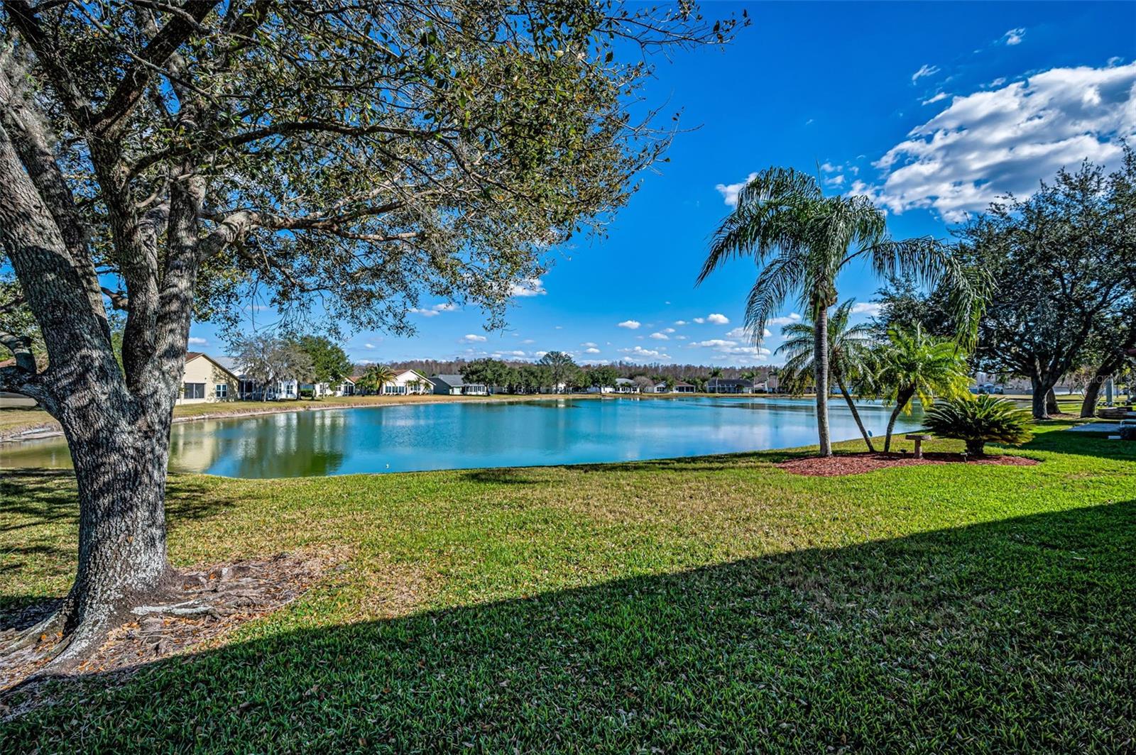 water view from lanai