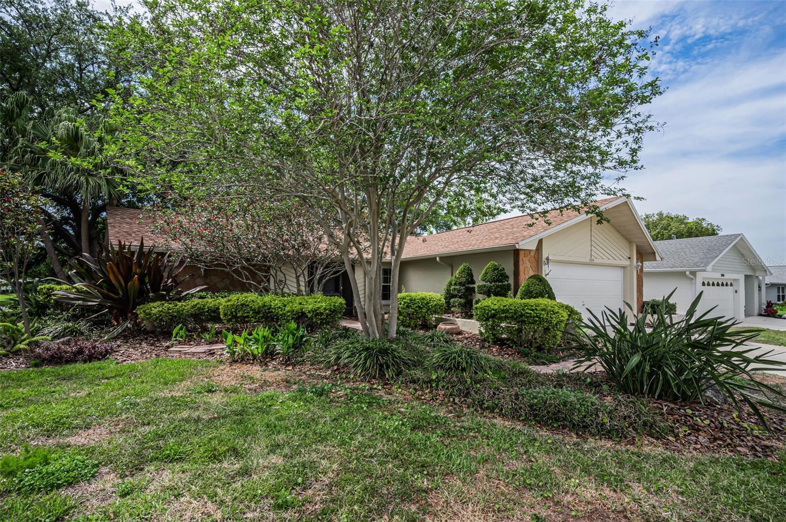 Mature Landscaping