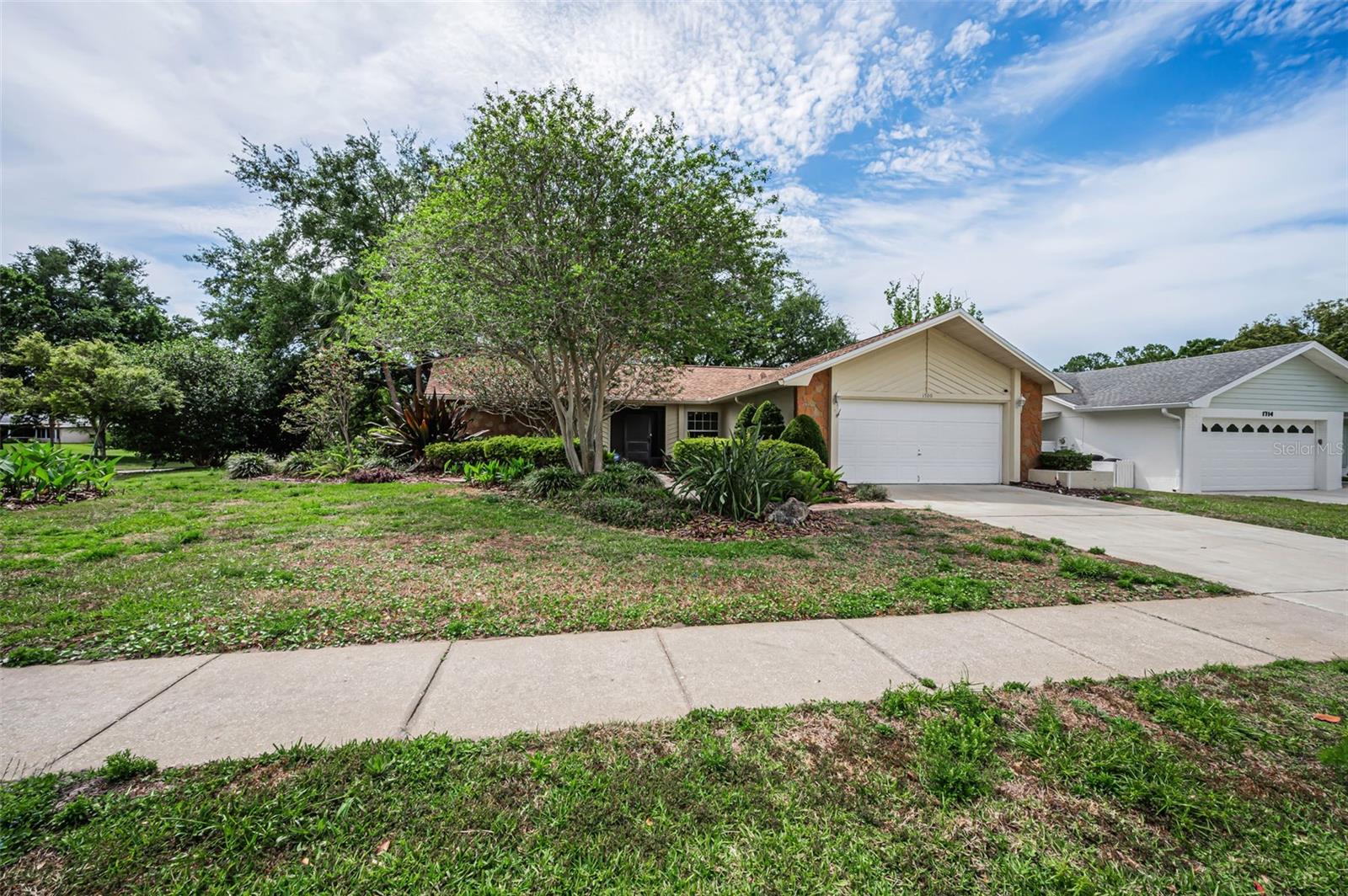 Elevated Corner Lot
