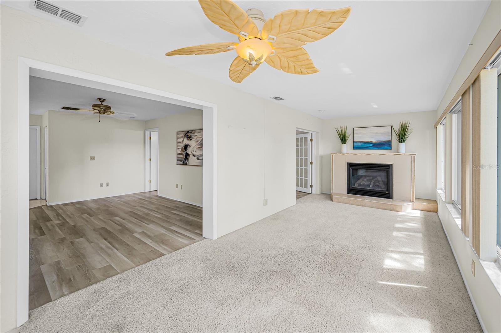 Gas Fire Place