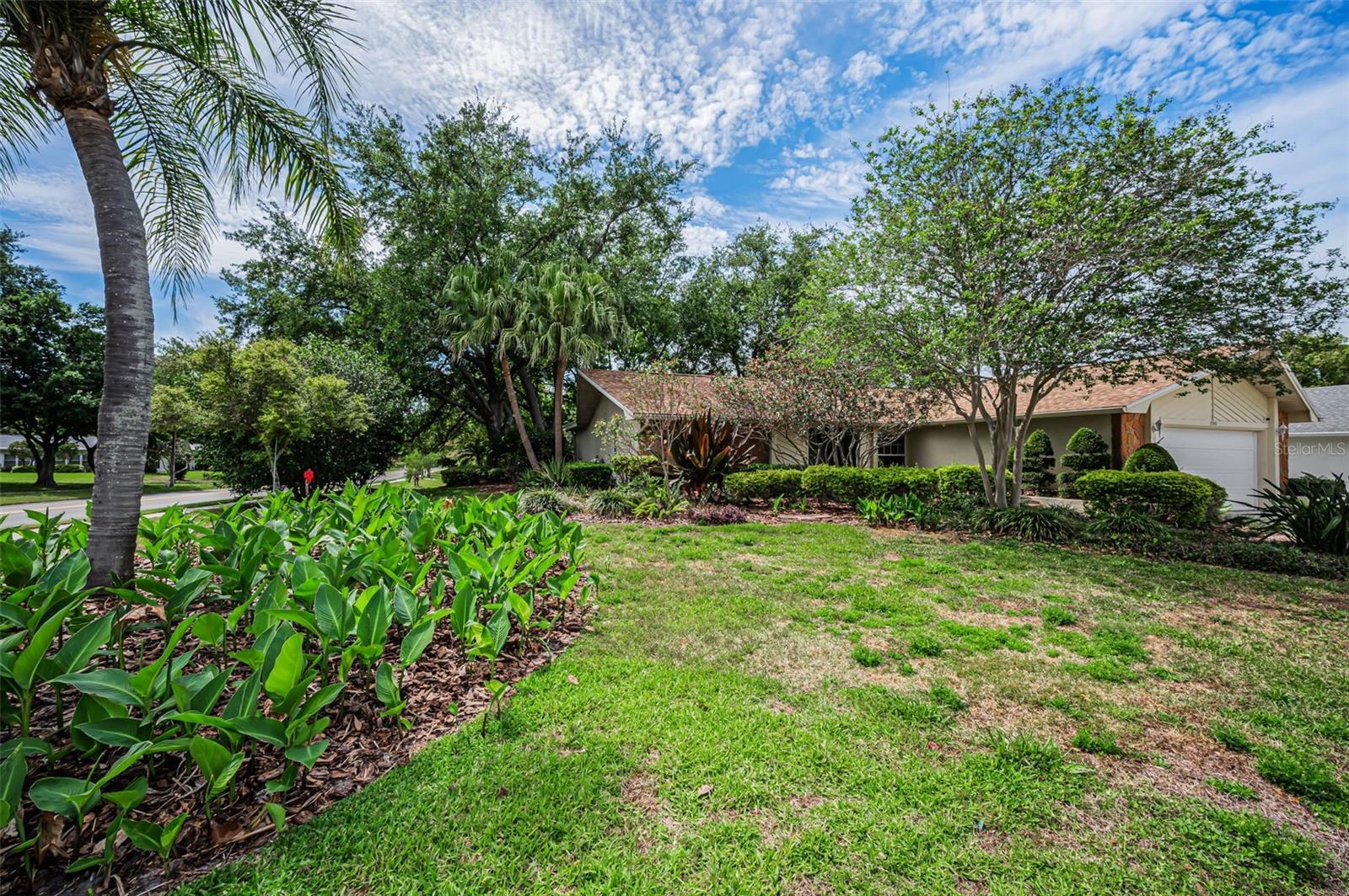 Landscaping Creates Privacy
