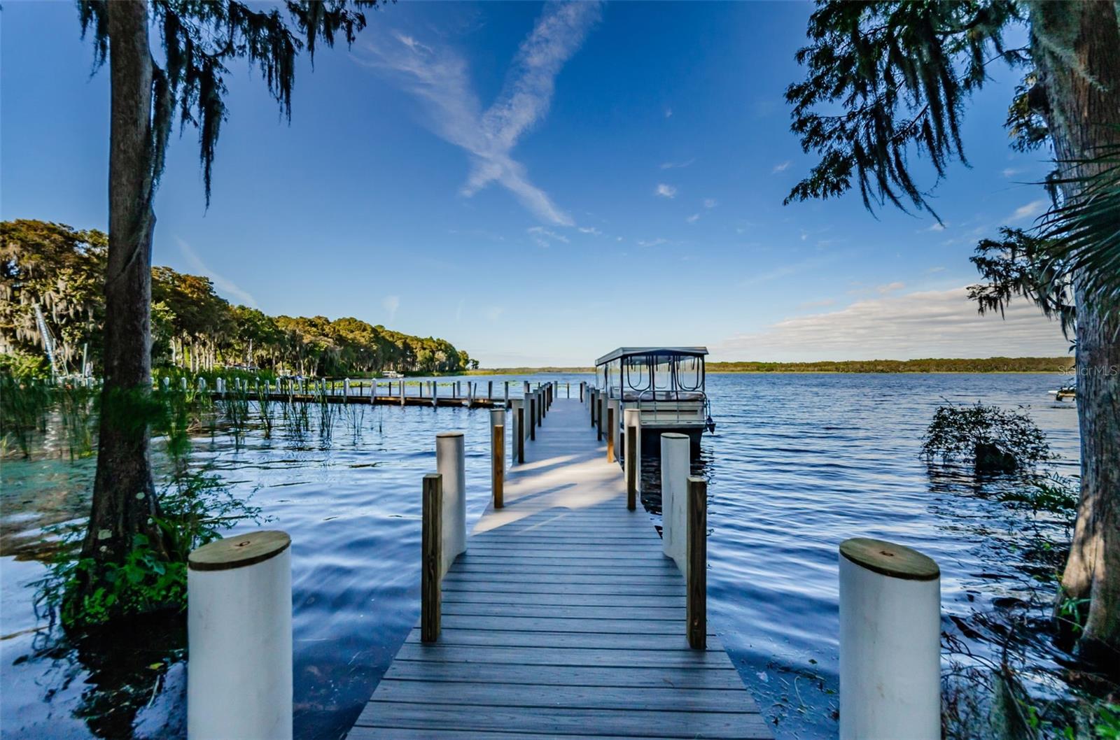 Lake Tarpon Boat Dock