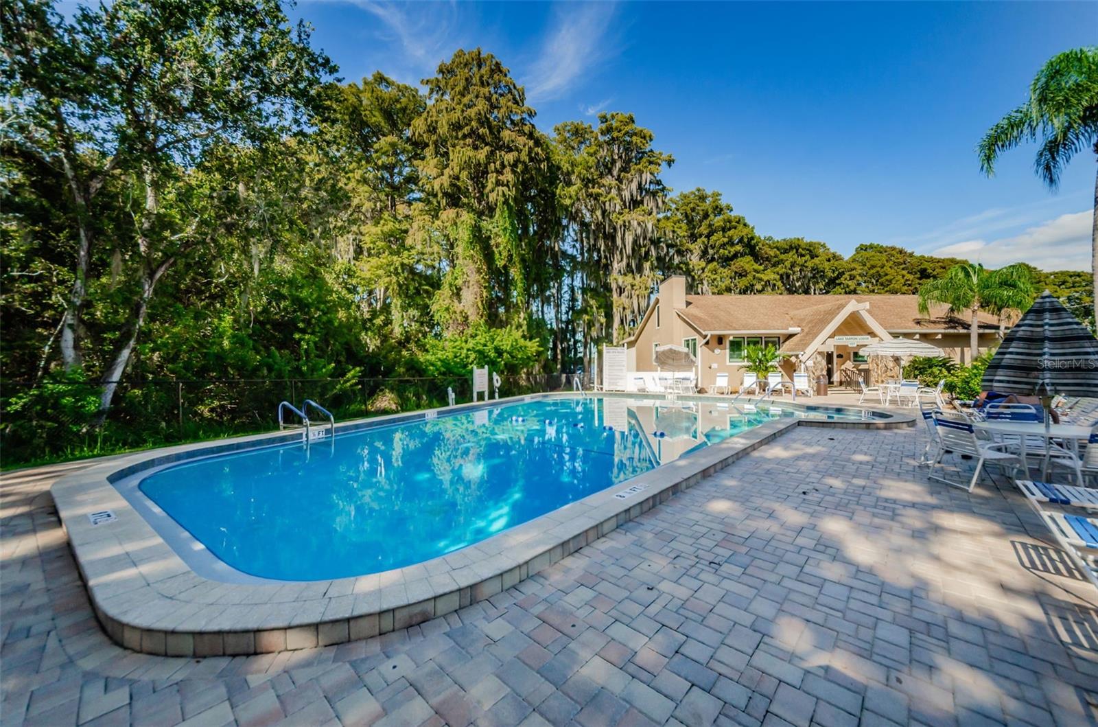 Pool at Lake Tarpon Lodge