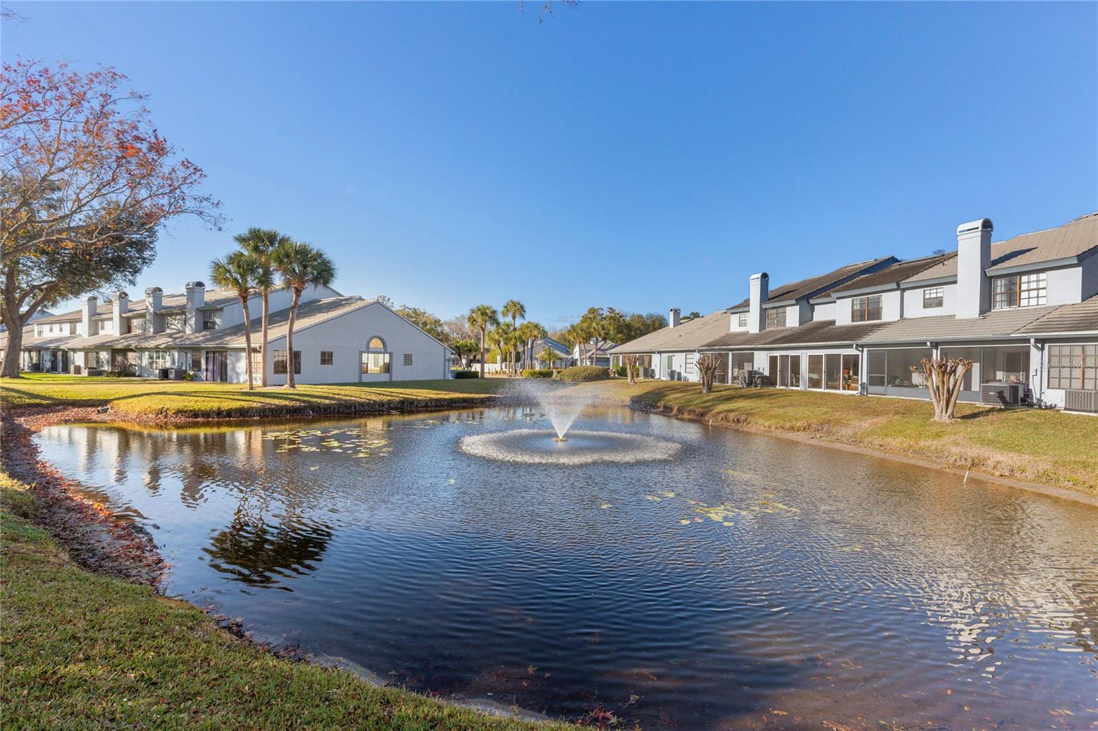 Watch the turtles play in the backyard pond.