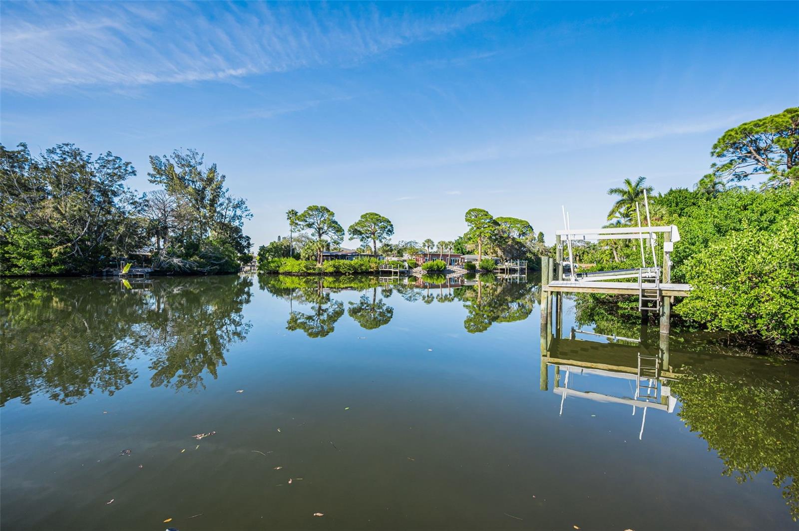 Backyard view from dock