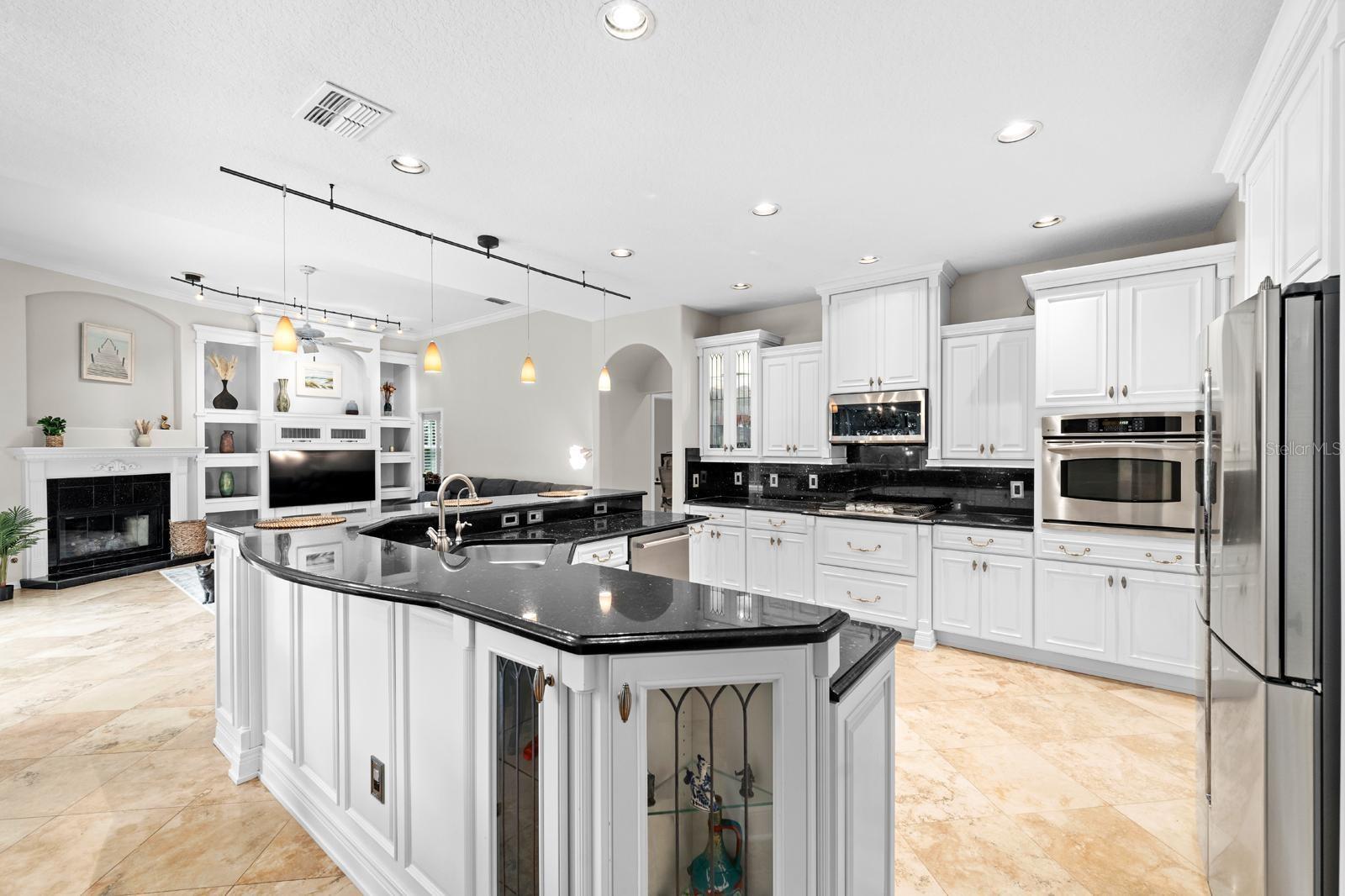 Chef's Dream Kitchen