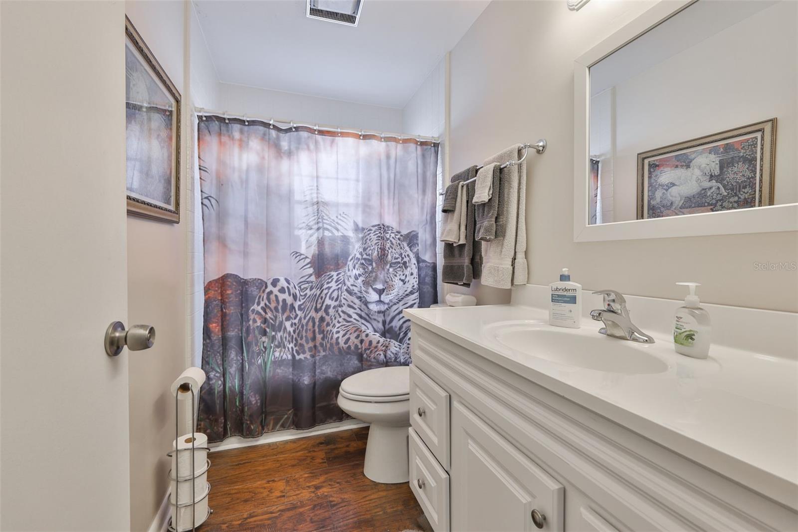 Guest Bathroom