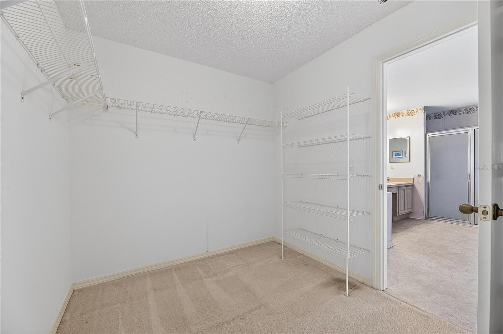 Master walk-in closet