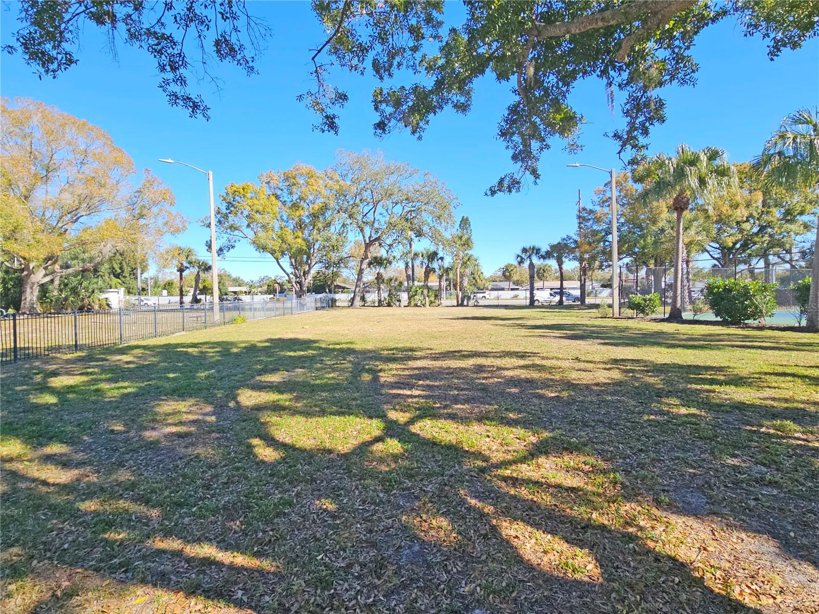 Open Playground / Park Area
