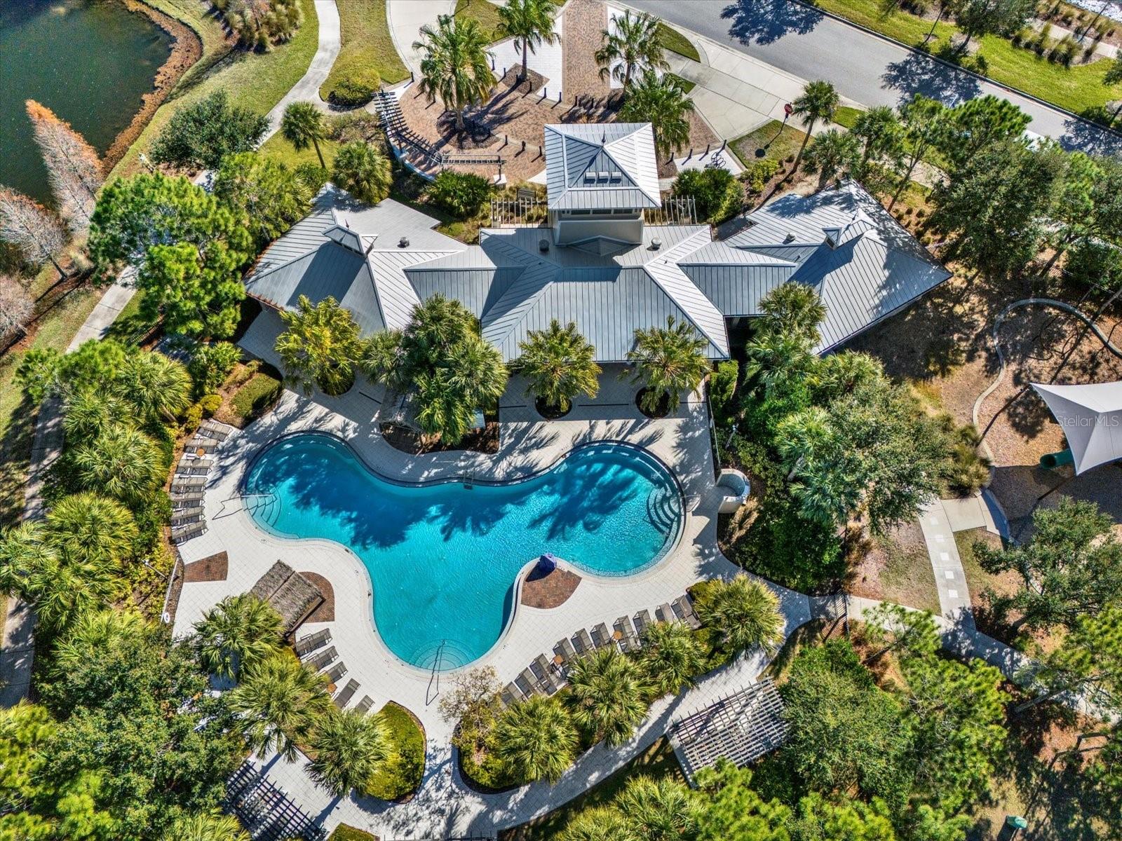 Aeriel Pool/ Community